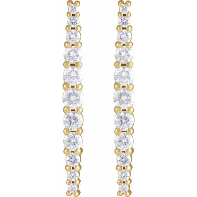 14K Yellow 3/8 CTW Natural Diamond Earrings