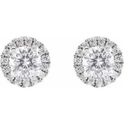 14K White 3/4 CTW Lab-Grown Diamond Stud Earrings