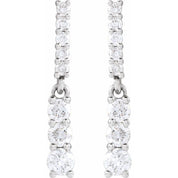 14K White 1/4 CTW Natural Diamond Dangle Earrings