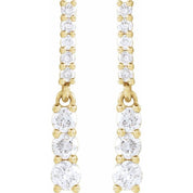 14K Yellow 1/4 CTW Natural Diamond Dangle Earrings