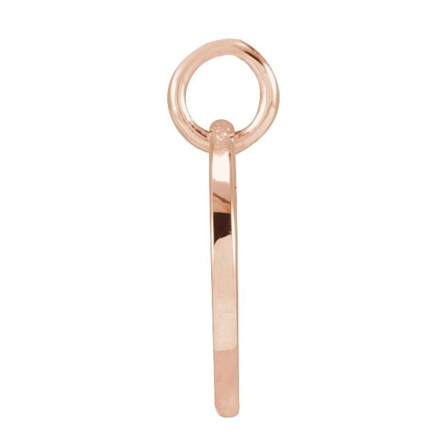 14K Rose Script Initial N Pendant