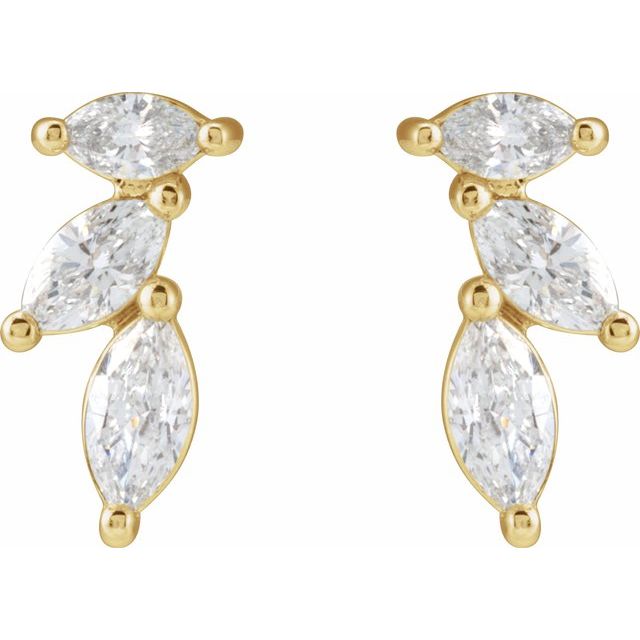 14K Rose 1/6 CTW Natural Diamond Nature-Inspired Right Earring