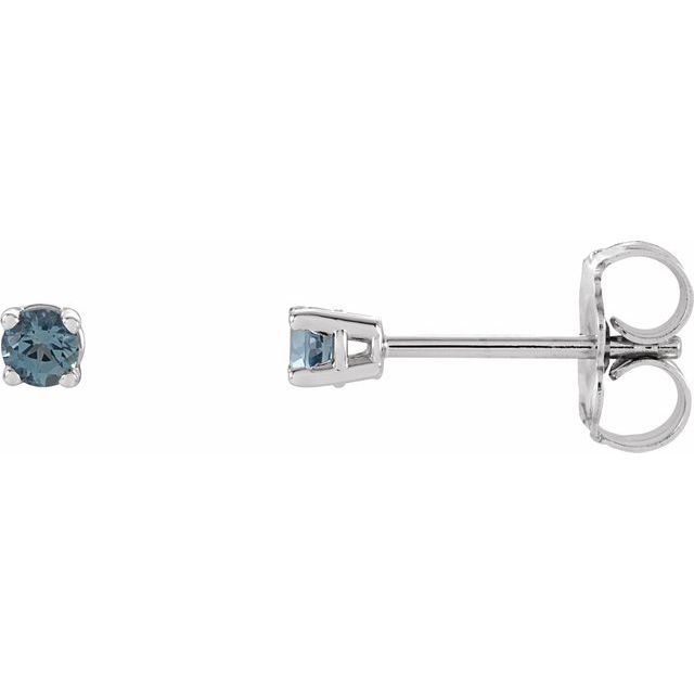 14K White 2.5 mm Natural Aquamarine Stud Earrings