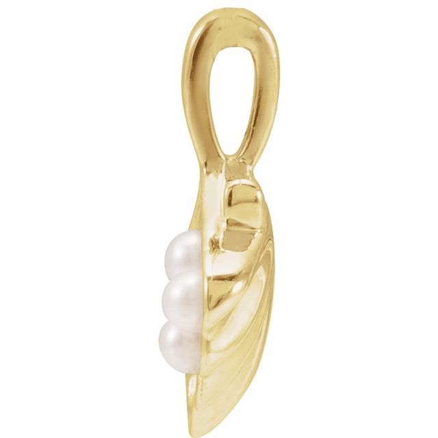 14K Yellow 3-Stone Cultured White Seed Pearl Family Shell Pendant