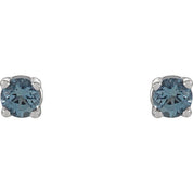 14K White 2.5 mm Natural Aquamarine Stud Earrings