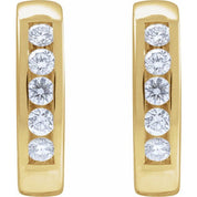 14K Yellow 1/3 CTW Natural Diamond 14 mm Hinged Hoop Earrings