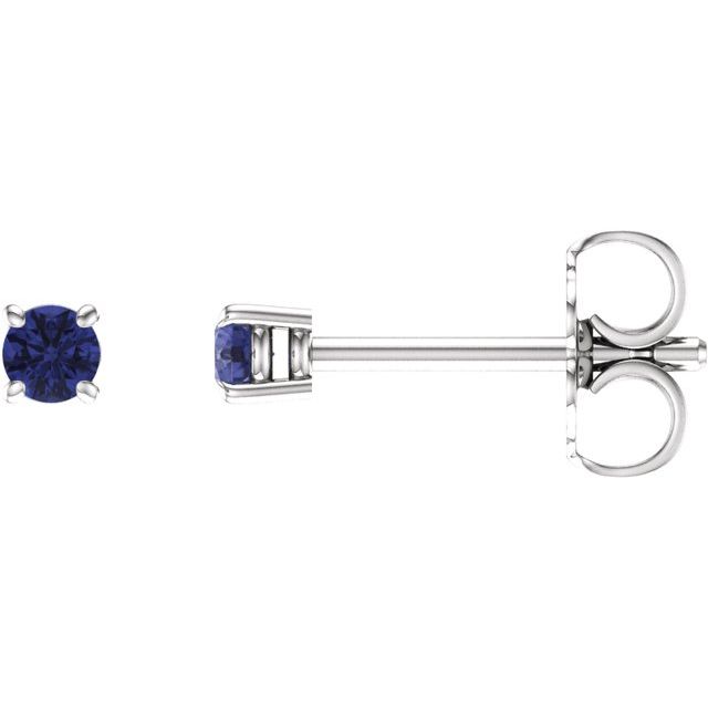 14K White 2.5 mm Natural Tanzanite Stud Earrings