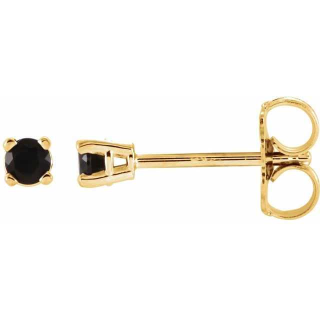 14K Yellow 2.5 mm Natural Black Onyx Stud Earrings