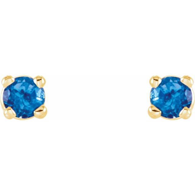 14K Yellow 2.5 mm Natural Swiss Blue Topaz Stud Earrings