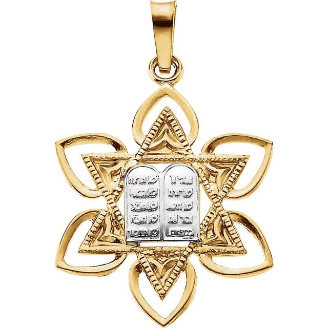 14K Yellow/White 28.2x21 mm Star of David Pendant