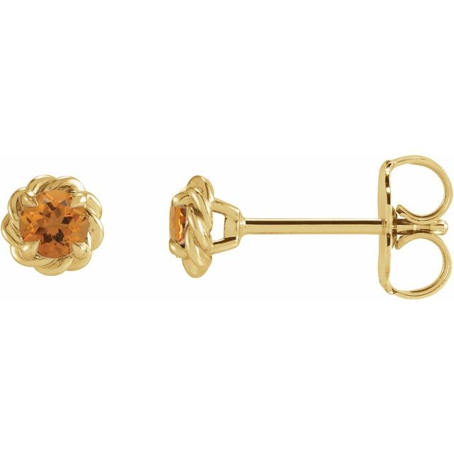14K Yellow Natural Citrine 5mm Claw-Prong Rope Earrings by BrandName