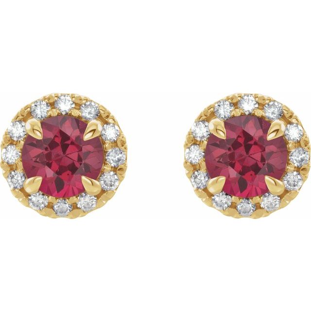 14K Yellow 6 mm Natural Pink Tourmaline & 1/3 CTW Natural Diamond Halo-Style Earrings