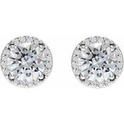 Platinum 1/4 CTW Natural Diamond Semi-Set Halo-Style Stud Earrings