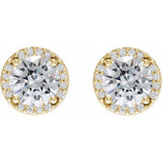 14K Yellow 1/8 CTW Natural Diamond Semi-Set Halo-Style Stud Earrings