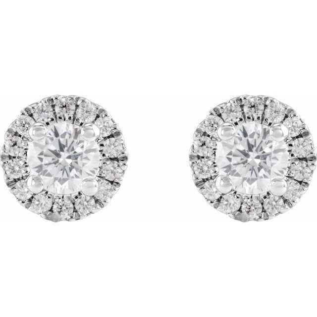 14K White 1/2 CTW Lab-Grown Diamond Stud Earrings