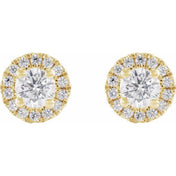 14K Yellow 1/2 CTW Lab-Grown Diamond Stud Earrings