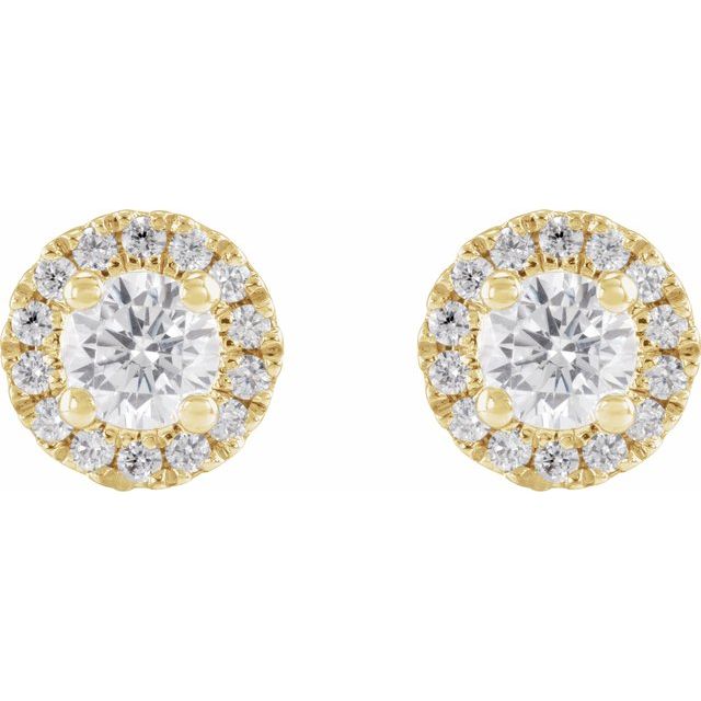 14K Yellow 1/2 CTW Lab-Grown Diamond Stud Earrings