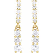 14K Yellow 1/4 CTW Natural Diamond Dangle Earrings
