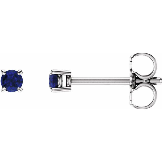 14K White 2.5 mm Natural Blue Sapphire Stud Earrings