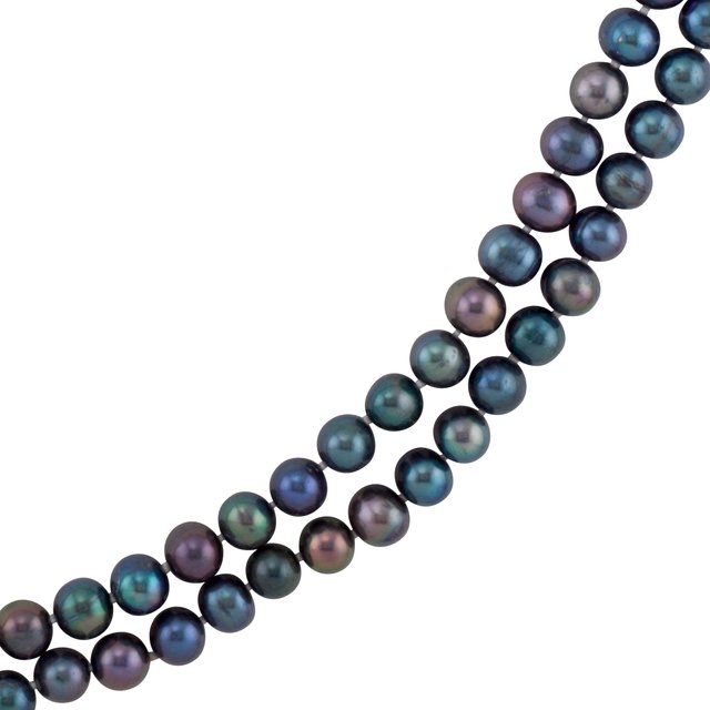 2677909.jpg