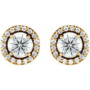 14K Yellow 1/2 CTW Natural Diamond Halo-Style Earrings