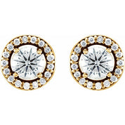 14K Yellow 1/2 CTW Lab-Grown Diamond Halo-Style Earrings