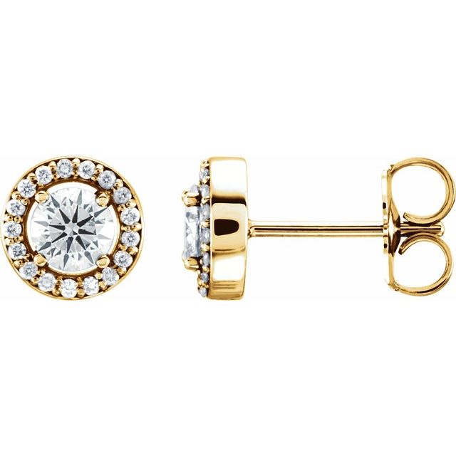 14K Yellow 1/2 CTW Natural Diamond Halo-Style Earrings