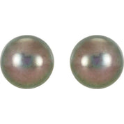 14K Yellow Panache? Cultured Black Freshwater Pearl Stud Earrings