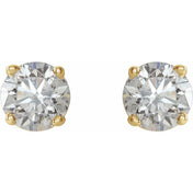 14K Yellow 3/4 CTW Natural Diamond Stud Earrings