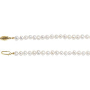14K Yellow Panache? Cultured White Freshwater Pearl 16" Necklace