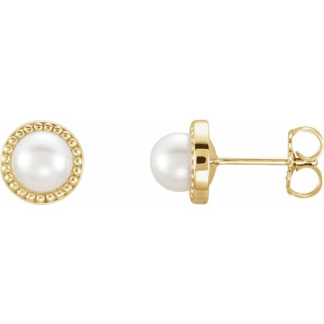 14K Yellow 5.5-6 mm Cultured White Freshwater Pearl Earrings