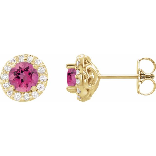 14K Yellow 6 mm Natural Pink Tourmaline & 1/4 CTW Natural Diamond Earrings