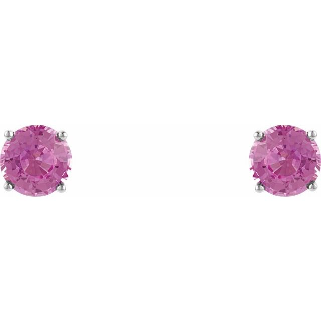 8154174.jpg